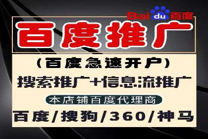 SEM服务优势案例分享